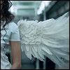 Angel | Wing!